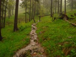 2013-06-01_Regina-F-Rau_Staffelalm_Hochwasser (138).JPG